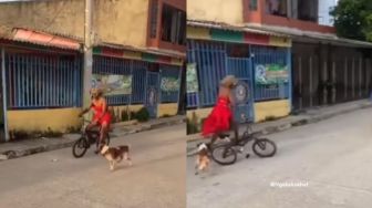 Kocak Waria Naik Sepeda Dikejar Anjing 'Baju Merah Jangan Sampai Lolos'