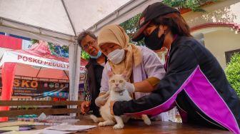 Vaksin Rabies Untuk Hewan Peliharaan di Kecamatan Duren Sawit