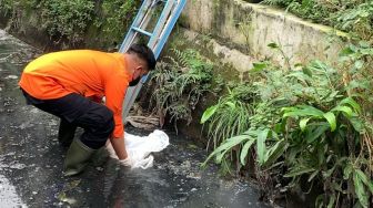 Warga Jemur Surabaya Digegerkan Penemuan Mayat Bayi di Saluran Pembuangan Air