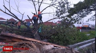 Laju Kereta Api Jayabaya Terhenti Akibat Pohon Tumbang di Lamongan