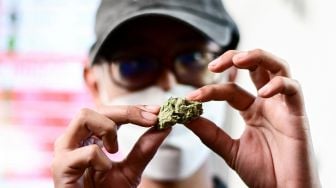 Pelanggan menunjukan ganja di dalam Highland Cafe pada hari pertama penghapusan ganja dari daftar narkotika berdasarkan hukum Thailand di Bangkok, Thailand, (9/6/2022). Manan VATSYAYANA / AFP

