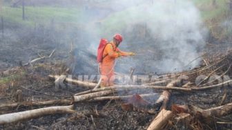 Lahan di Bukit Kusnodo Kutai Timur Terbakar, Diduga Ada Unsur Kesengajaan
