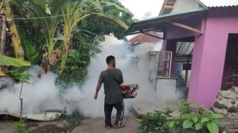 64 Kasus Suspek Cikungunya di Ujung Pesisi, Ini Upaya Dinkes