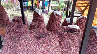 Harga Bawang Merah di Bantul Stabil di Angka Rp55 Ribu, Cabai Rawit Turun di Harga Rp50 Ribu