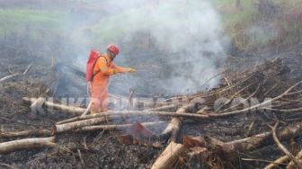 Lahan di Bukit Kusnodo Bontang Terbakar, BPBD Duga Sengaja Dibakar Warga