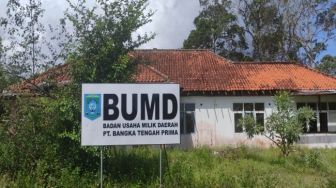 Enam Bulan Dilantik, Kinerja Direktur BUMD PT Bateng Prima Belum Tampak