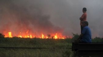 Waspada Kebakaran Hutan, 8 Titik Panas Ditemukan Lagi di Benua Etam