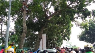 Bikin Geleng-geleng Kepala, Pria Ini Nekat Panjat Pohon demi Saksikan Prosesi Pemakaman Eril
