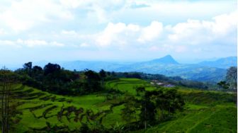 Fenomena Bahasa Jaksel di Indonesia yang dibawakan Generasi Milenial