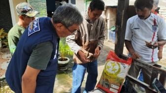 Petani Bulukumba Mengeluh, Bantuan Benih Padi Gratis dari Pemerintah Tidak Tumbuh