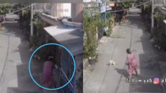 Terekam Kamera CCTV, Pertarungan Sengit Emak Berdaster Versus Kucing Oren