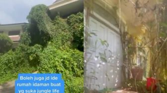 Konsep Mirip Hutan, Rumah Ini Ditutupi Pohon Besar dan Tanaman Merambat