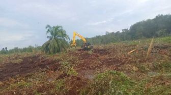 Curhat Petani soal Kebun Sawit Diserobot Perusahaan HTI di Riau: Ini Tanah Saya!