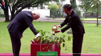 Tiba di Istana Bogor, Presiden Republik Federal Jerman Diajak Jokowi Tanam Pohon Cendana