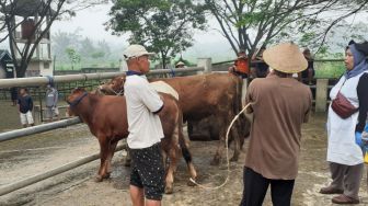 Kabar Gembira, Besok Pemkab Klaten Kembali Buka Pasar Hewan