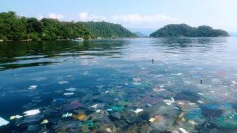Lautan Sampah di Teluk Lampung Persoalan yang tak Pernah Berujung