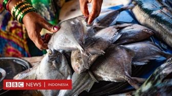 Perubahan Iklim: Kami di Tengah Laut Selama Berjam-jam, Tapi Tak Ada Ikan