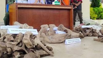 Polisi Bekuk 2 Orang Terduga Penjual Tulang Gajah di Aceh Timur