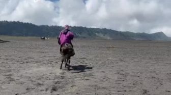 Pengelola Bromo Selidiki Viral Ojek Kuda Diduga Memalak Wisatawan Gegara Rekam Video Tanpa Izin