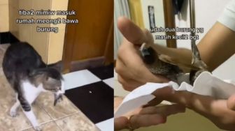 Kucing Ini Bawa 3 Burung ke Rumah, Alasannya Bikin Warganet Terharu