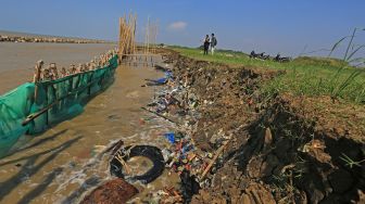 Abrasi Ancam Lahan Pertanian di Indramayu