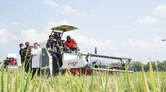 FAO Menilai, Mentan SYL Sukses Pertahankan Produktivitas sehingga Indonesia Bebas dari Krisis