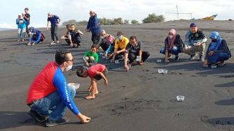 Jaga Konservasi Penyu di Pantai Selatan, DKP Kulon Progo Lepaskan 144 Tukik