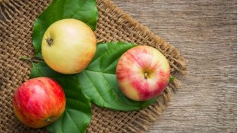 6 Manfaat Buah Apel, Mulai dari Kesehatan Mata sampai Imun
