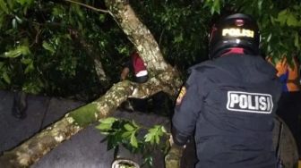 Update Kecelakaan Bus Pariwisata Masuk ke Jurang di Tasikmalaya: Satu Penumpang Belum Ditemukan