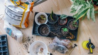 4 Manfaat Penting dari Berkebun, Tidak Harus Punya Lahan Luas