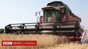 Ke Mana Rusia Membawa Hasil Rampasan Gandum dari Para Petani Ukraina?