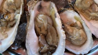 Keunggulan Oyster Sumatera Diakui Oleh Chef Renatta Moeloek: Nggak Kalah dari Oyster Impor