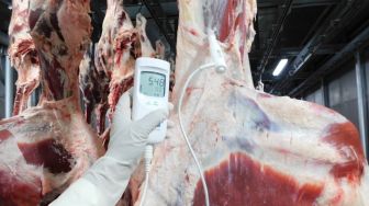 Dijamin Aman, Bulog: Ada 4 Tahap yang Dilalui Ternak Sebelum Diekspor Sebagai Daging Beku ke Indonesia
