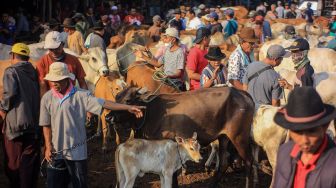 Sejumlah pedagang menjajakan hewan untuk kurban di Pasar Hewan Jonggol, Kabupaten Bogor, Jawa Barat, Kamis (30/6/2022).  ANTARA FOTO/Yulius Satria Wijaya
