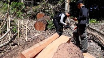 Pelaku Pembalakan Liar Hutan Lindung di Malang Tertangkap Setelah Dua Tahun Buron