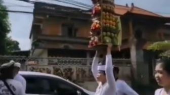 Perempuan Bali Tangguh Ini Bawa Banten Pajegan Setinggi 2,5 Meter Dan Berat 50 Kg