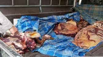 Pria Madura Diamankan Polisi Gegara Kirim Daging Busuk ke Jember Diduga Bawa Virus PMK