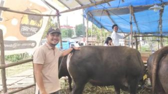 Wabah PMK Untungkan Pedagang Hewan Kurban Lokal Samarinda