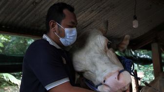 Pemilik sapi jenis simental memeluk sapi dikandangnya seusai dibeli Presiden Jokowi untuk dikurbankan di Kelurahan Arombu, Kecamatan Unaaha, Konawe, Sulawesi Tenggara, Sabtu (2/7/2022). ANTARA FOTO
