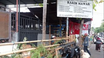 Pedagang Hewan Kurban di Bali Khawatir Dengan Dampak PMK, Harga Ternak Jadi Mahal