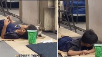 Miris, Seorang Bocah Tertidur di Emperan Minimarket Ditemani Seekor Kucing Hanya Beralaskan Kardus
