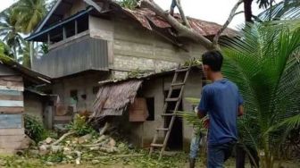 Angin Kencang Terjang Aceh Selatan, Rumah Rusak Ditimpa Pohon