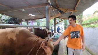 Dapatkan 'Primadona' Incaran, Ini 5 Momen Baim Wong Pilih Sapi Kurban