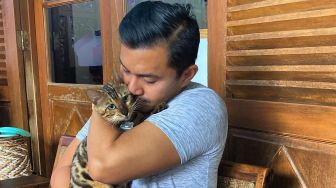Kucing Seharga Puluhan Juta Hilang, Anjasmara Bikin Sayembara: Aku Cuma Mau Jack Jack Pulang