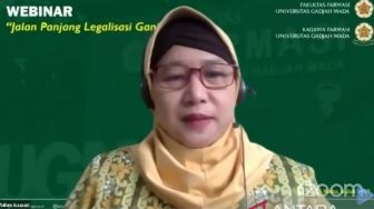 Guru Besar UGM Usul Ganja Tidak Perlu Dilegalisasi Meski untuk Kebutuhan Medis