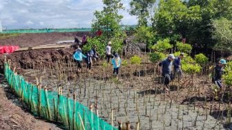 Rawat Ekosistem Lingkungan Laut, DKP Sulsel Tanam 38 Ribu Batang Mangrove 