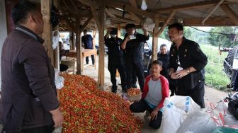 Kementan Pastikan Pasokan Aneka Cabai di Jabodetabek Terpenuhi