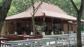 Menikmati Kuliner Tradisional dengan Suasana Alam di Resto Bukit Cubung