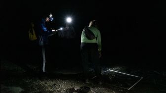 Peneliti melakukan survei pemijahan kepiting tapal kuda di pantai di Area Konservasi Ted Harvey di Dover, Delaware, Amerika Serikat, Jumat (17/6/2022). [Bastien INSAURRALDE / AFP]