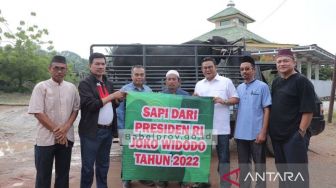 Sapi Kurban Pemberian Presiden Jokowi Diserahkan ke Bangka Selatan